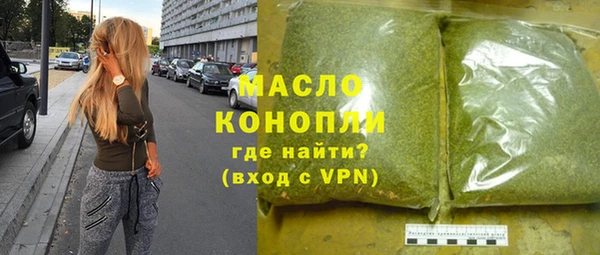 сатива Сатка