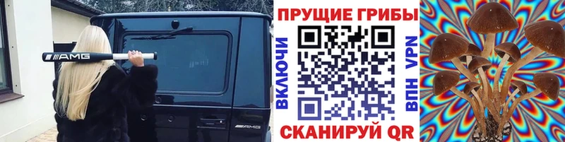 дарнет шоп  Армянск  Псилоцибиновые грибы мицелий 